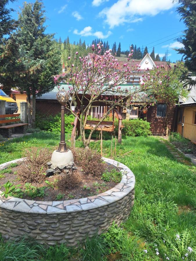 Casa Cu Lavanda Vatra Dornei Exteriör bild