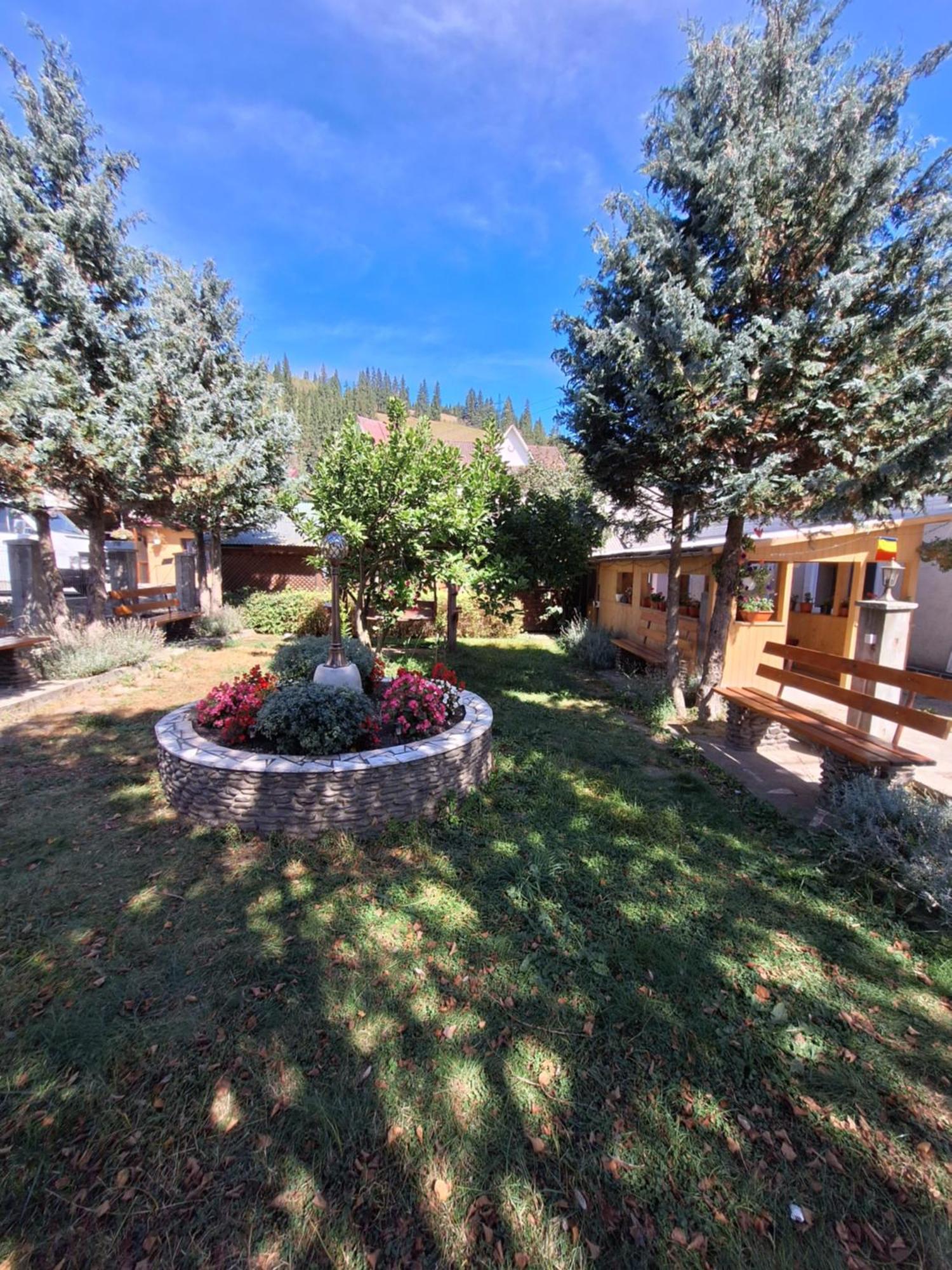Casa Cu Lavanda Vatra Dornei Exteriör bild